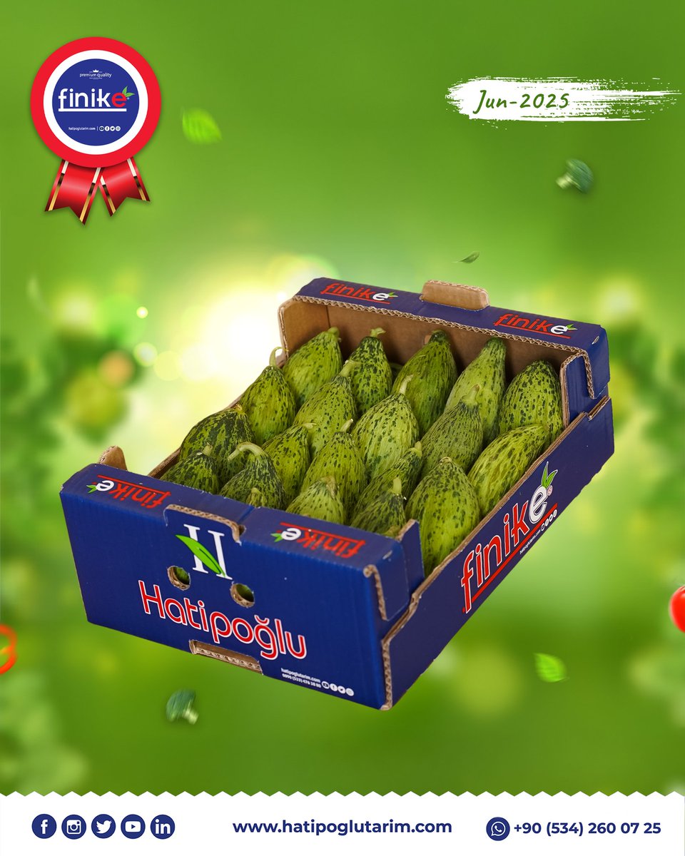 HatipogluTarim's tweet photo. 🌱 Standing out with its freshness!
Our demanded kelek (immature melon) product is carefully sorted and prepared for export.
Quality in every box, professionalism in every step. 🌍📦

With Hatipoğlu Tarım, experience reliable and sustainable supply solutions. https://t.co/uMfAuJb5Tr