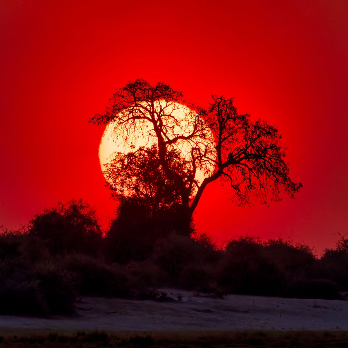 arshleybrian7's tweet photo. #Sunset in the #wild https://t.co/BBAL0kiYO2