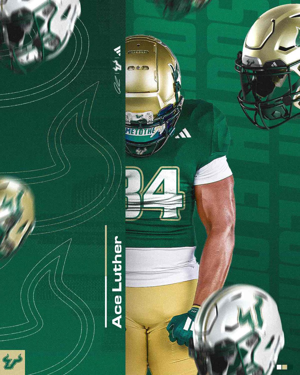 Aceluther84's tweet image. Thank you for the graphic !!
#GoBulls 
@USFFootball