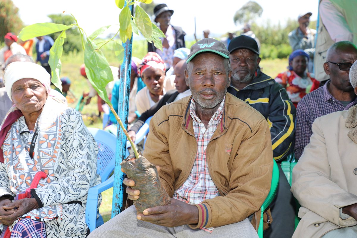 Nyandarua County Government (@nyandaruacg018) on Twitter photo More than 600 residents of Kiriita Ward, Ndaragwa Sub-County, today received fruit trees from His Excellency Governor <a href="/DrBadilishaK/">H.E Dr. Kiarie Badilisha</a> and the World Bank Group, further boosting Nyandarua’s climate resilience. More than 600 residents of Kiriita Ward, Ndaragwa Sub-County, today received fruit trees from His Excellency Governor <a href="/DrBadilishaK/">H.E Dr. Kiarie Badilisha</a> and the World Bank Group, further boosting Nyandarua’s climate resilience.