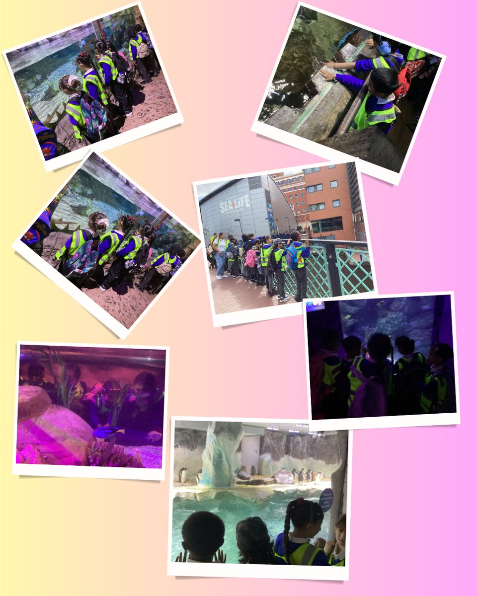 Heath Mount Primary School (@heathmount) on Twitter photo Year 2 visited the Sea Life Centre in Birmingham today as part of their Seas and Oceans Humanities work. They saw lots of different sea creatures, including otters, penguins and seahorses!🐟🐠🪼 Year 2 visited the Sea Life Centre in Birmingham today as part of their Seas and Oceans Humanities work. They saw lots of different sea creatures, including otters, penguins and seahorses!🐟🐠🪼