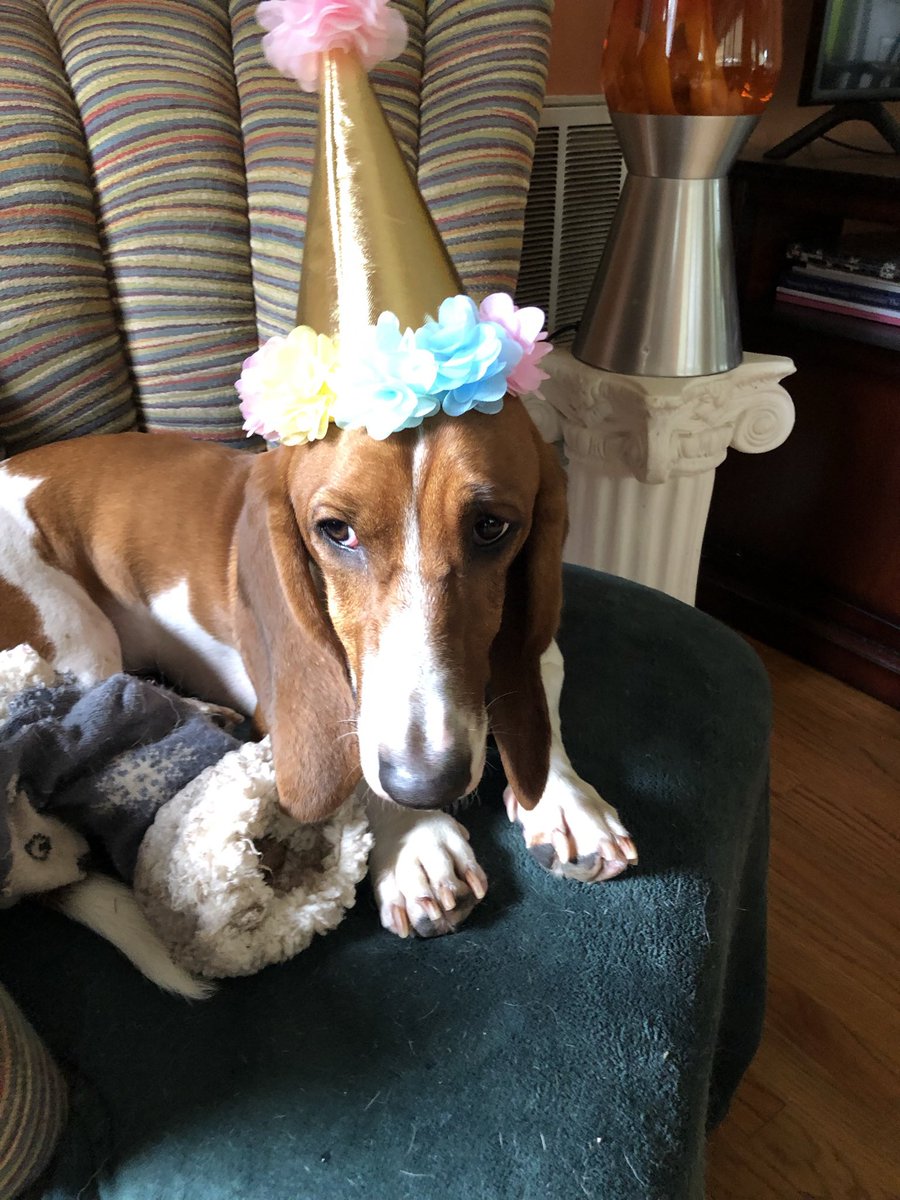 Bill Walsh tweet media