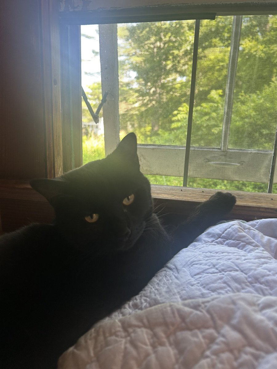 dale cooper tweet media