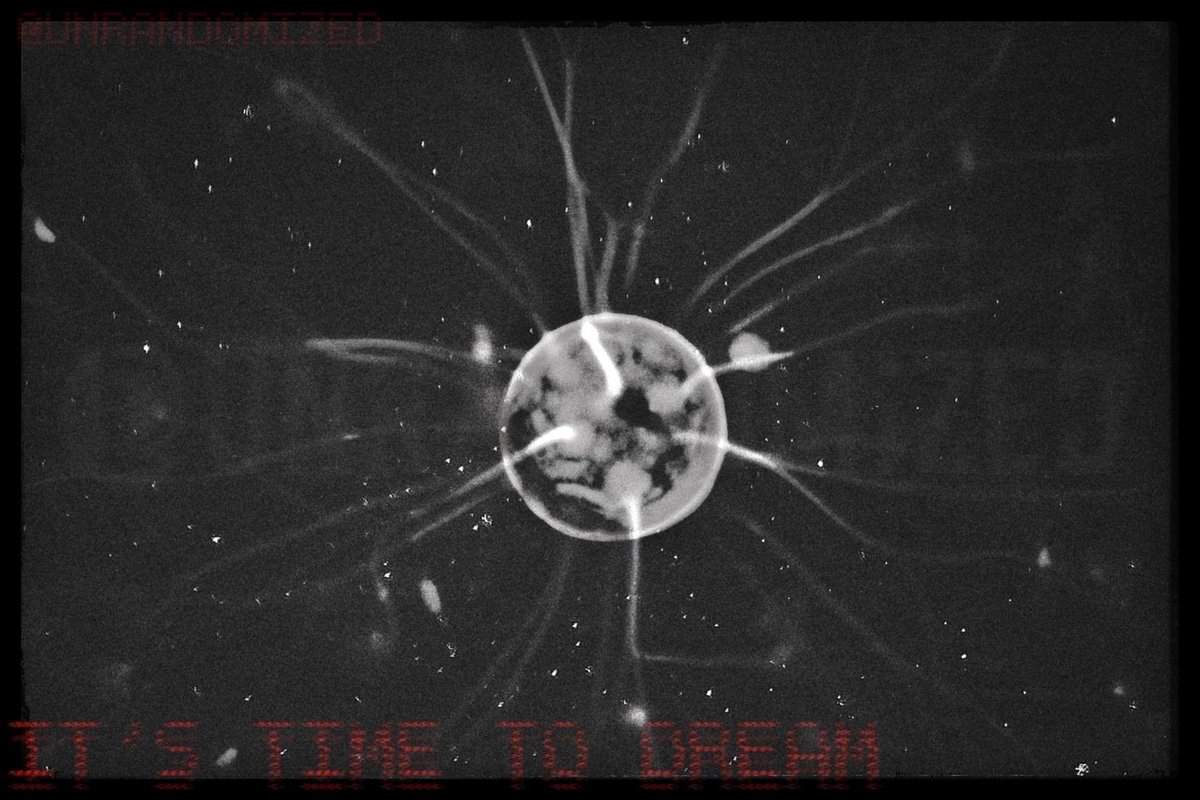 UnRandomized's tweet image. It's time to dream. - Optic Decay
Subject 3: Mimicry
#art project using #photography and #PhotoEditing / #Photoshop