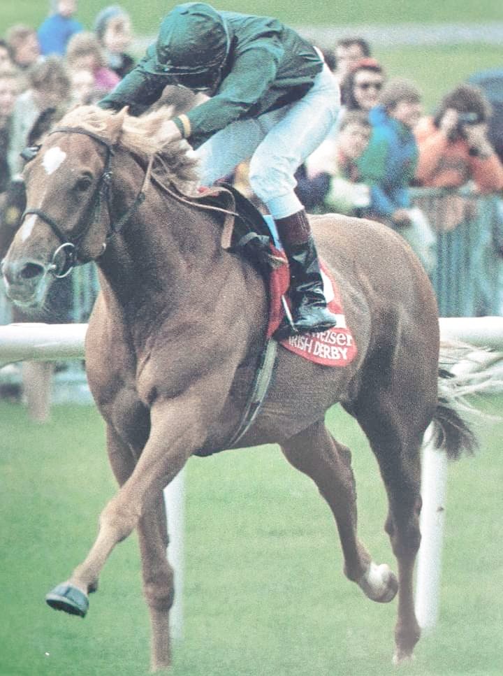 A relentless galloping style put Generous in a different league to his rivals during the summer of 1991.
He completed the English and Irish Derby double with a crushing defeat of the much vaunted Suave Dancer at the Curragh. Few 12f champions would have matched Generous that day.