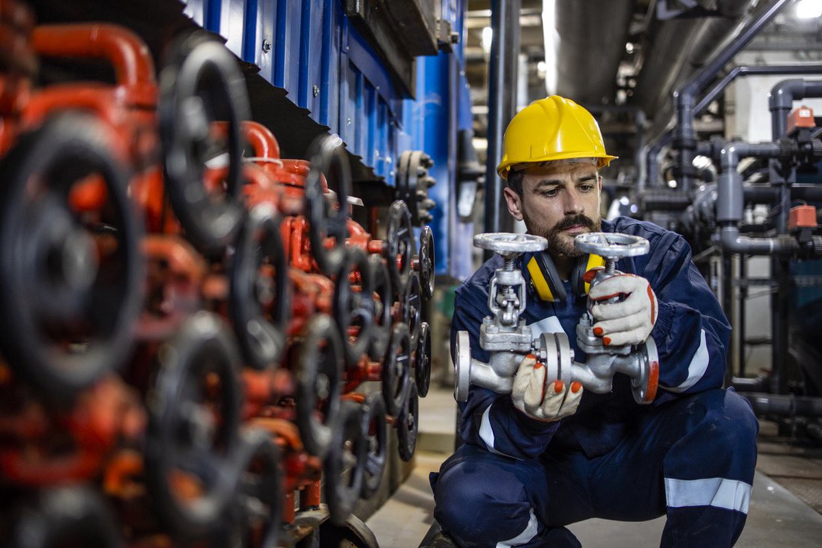 Dante Valve tweet media