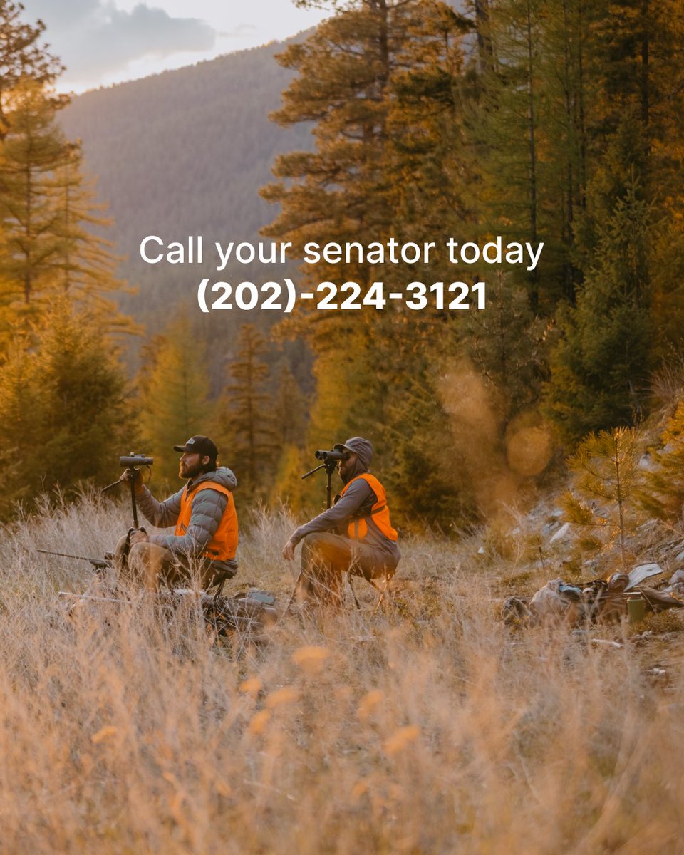 GOHUNT's tweet image. We humbly ask you to double down on your opposition to the public lands sale. 

Call (202) 224-3121 and tell your state senator to oppose the sale of our public lands.

#gohunt