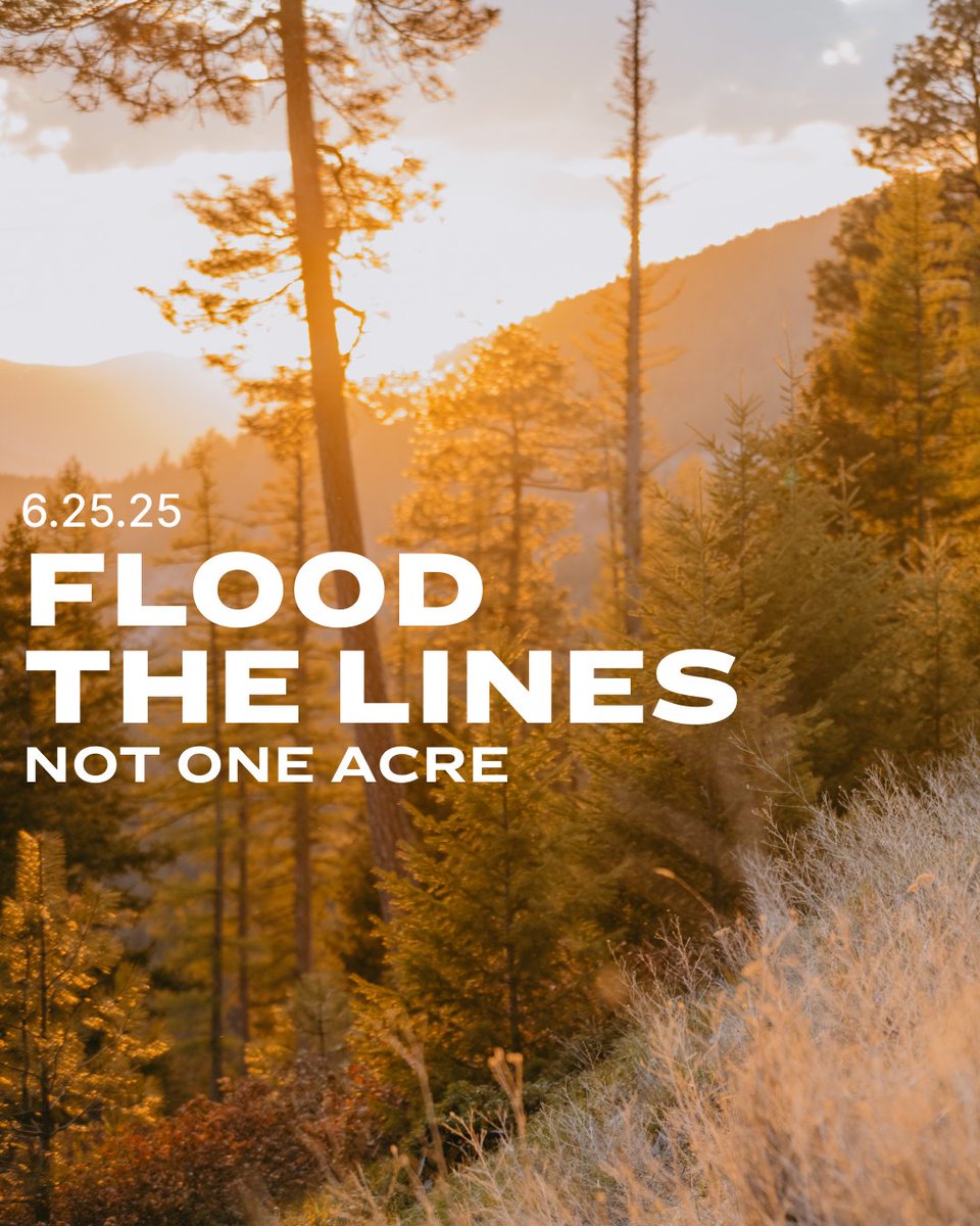 GOHUNT's tweet image. We humbly ask you to double down on your opposition to the public lands sale. 

Call (202) 224-3121 and tell your state senator to oppose the sale of our public lands.

#gohunt