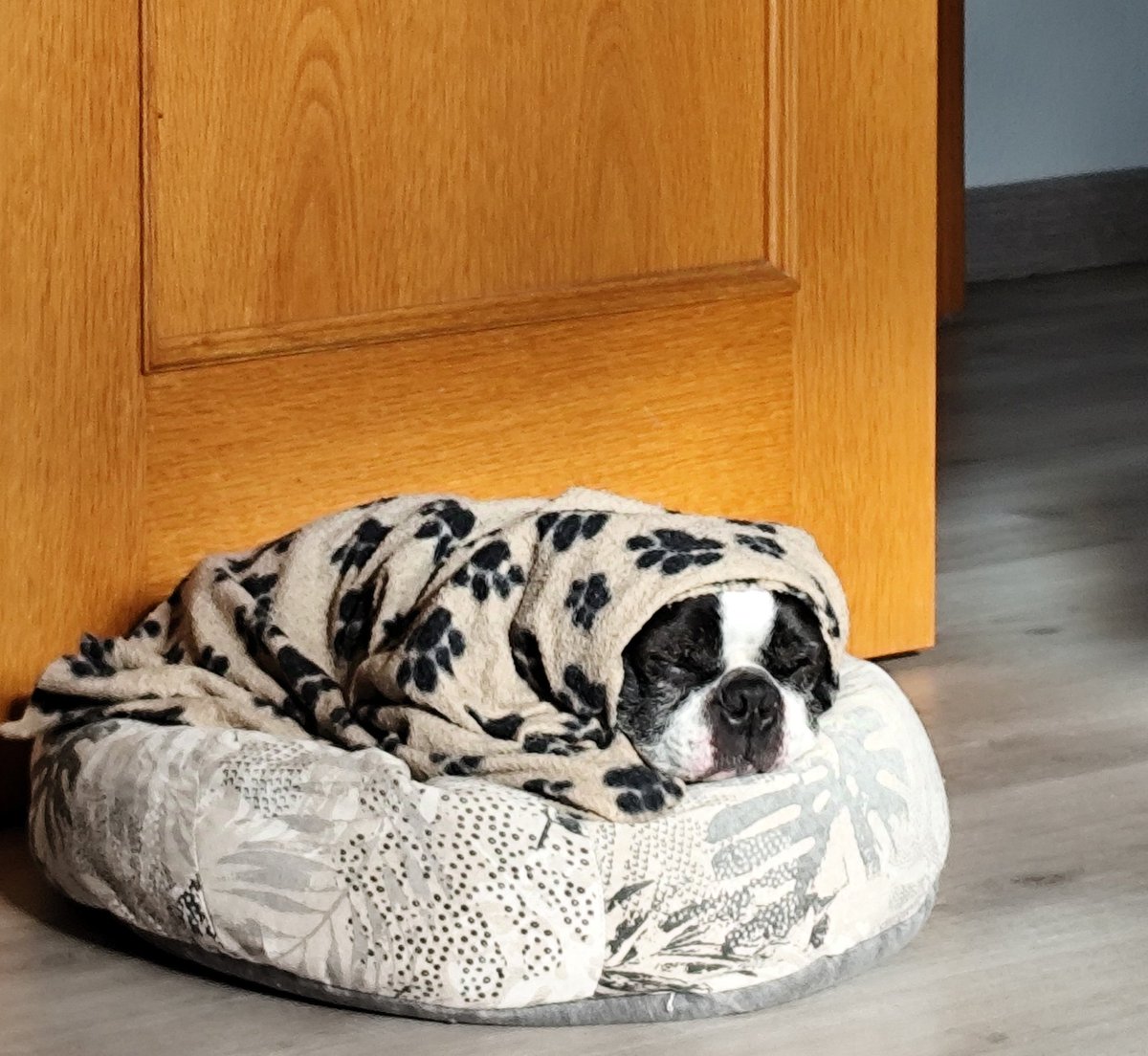 María Acebes 🧁 tweet media