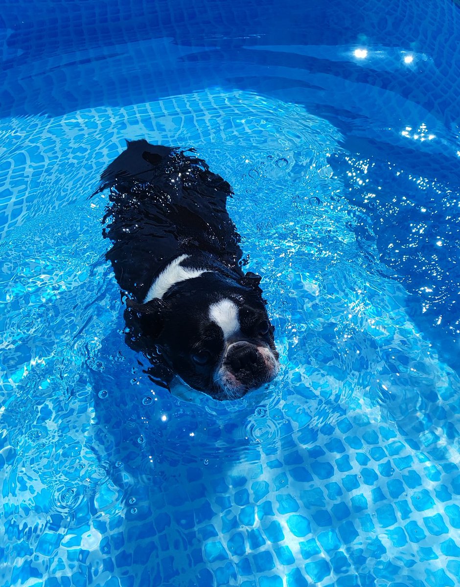 María Acebes 🧁 tweet media