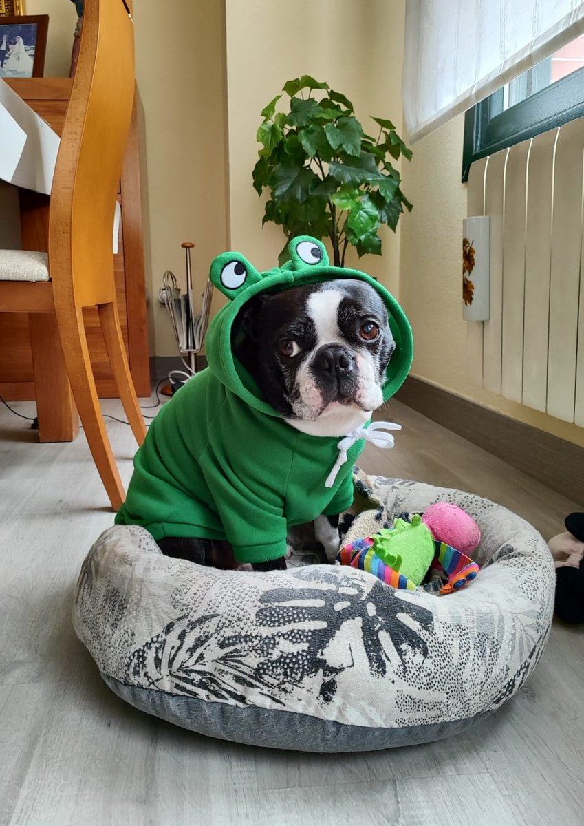 María Acebes 🧁 tweet media