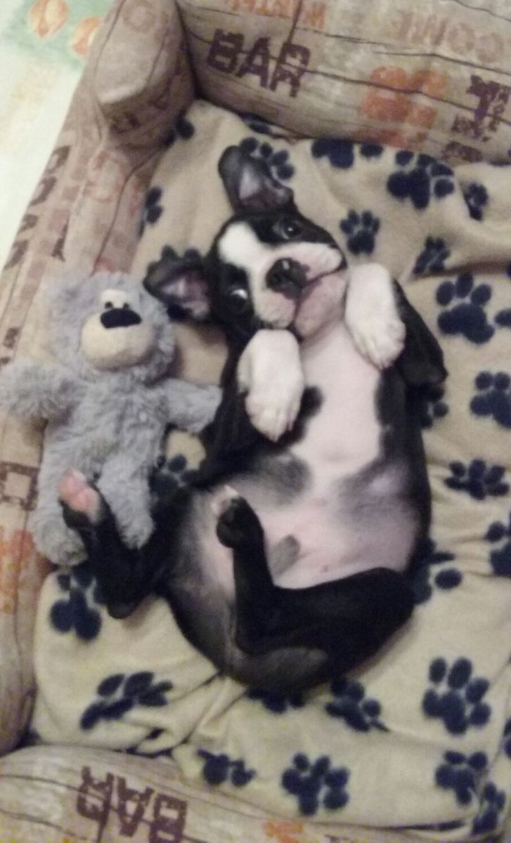 María Acebes 🧁 tweet media