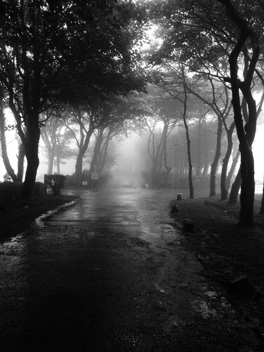 Raven Hall Driveway
By me.