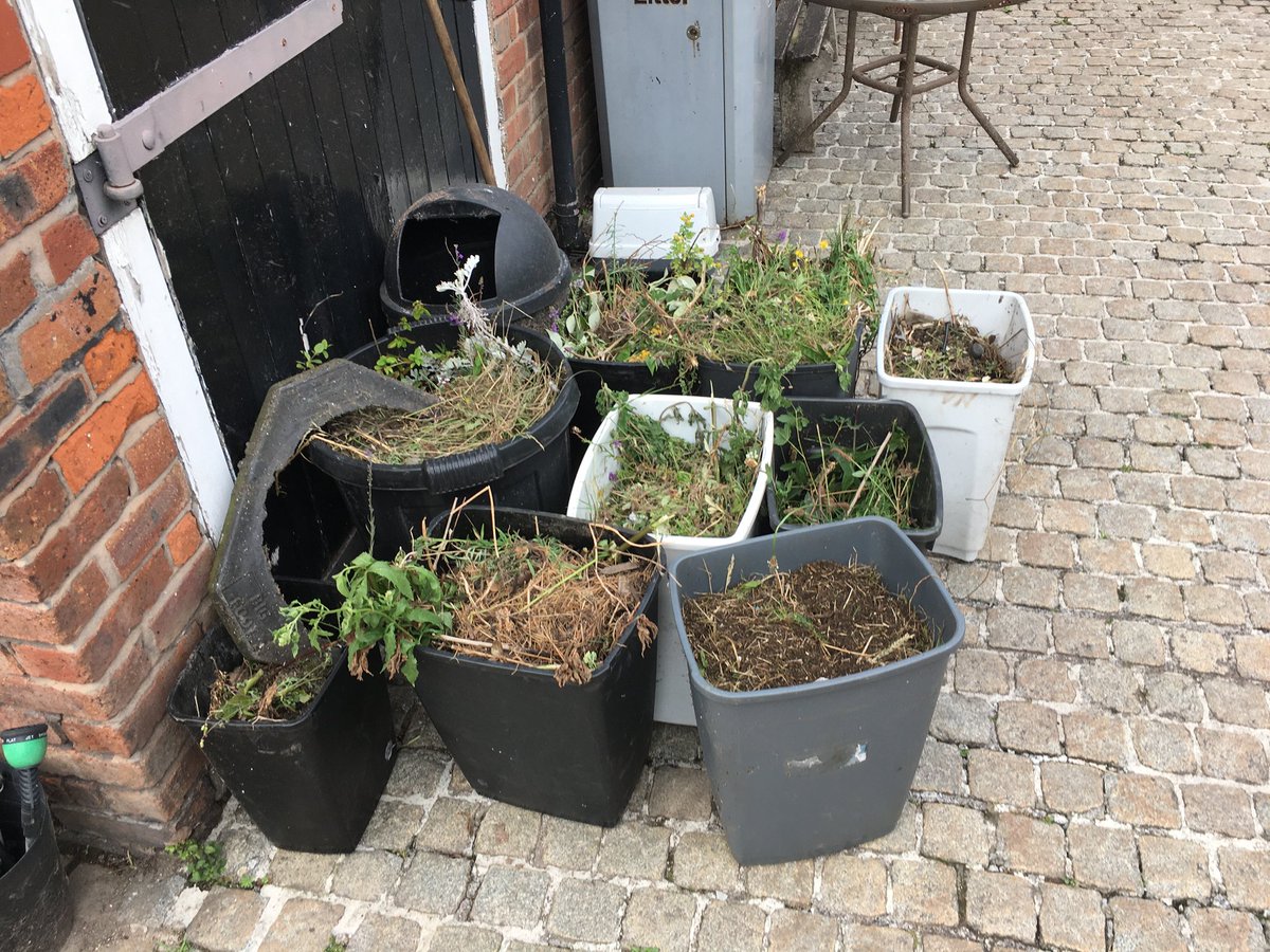 scouse_mouse_20's tweet image. Must be something in the air. Volunteer Andy went and did a couple of hours this afternoon 💪