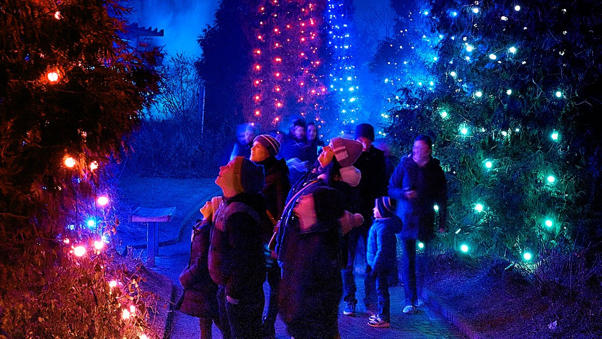 Experience a festive trail that sparks joy at every turn during #LightscapeChicago! This year’s all-new path sets the Garden aglow with transformed vistas and dazzling installations from around the world. Buy tickets now to secure your preferred date at chicagobotanic.org/lightscape
