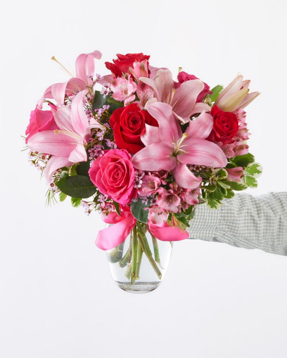 FromYouFlowers's tweet photo. Did you know June is National Rose Month? Celebrate with blooms you adore. 🌹✨
Discover beautiful roses online today.

#NationalRoseMonth #RosesForever #FromYouFlowers https://t.co/68XDZjmzaj