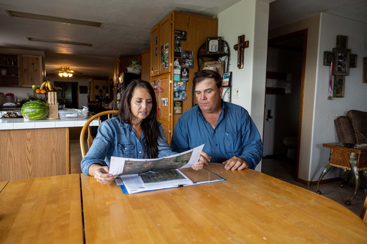 Tribal producers reported $6.4 billion in revenues, almost doubling economic growth since 2017 despite a pandemic, economic downturn, and some of the most unpredictable weather events of the century.   

#TribalAg #2022AgCensus