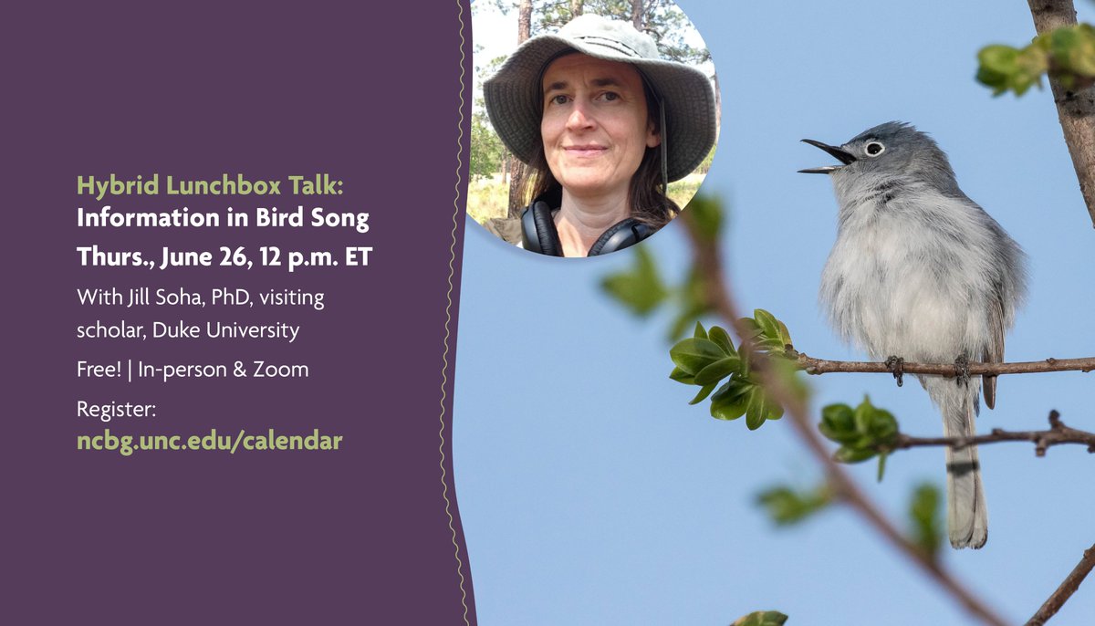 NC Botanical Garden (@ncbotgarden) on Twitter photo Tomorrow (6/26) at noon ET: join us in-person or on Zoom for a Hybrid Lunchbox Talk: Information in Bird Song with Jill Soha, visiting scholar at <a href="/DukeBiology/">Duke Biology</a>.
Free! Register to save your spot: reg.learningstream.com/reg/event_page⦠Tomorrow (6/26) at noon ET: join us in-person or on Zoom for a Hybrid Lunchbox Talk: Information in Bird Song with Jill Soha, visiting scholar at <a href="/DukeBiology/">Duke Biology</a>.
Free! Register to save your spot: reg.learningstream.com/reg/event_pageā¦