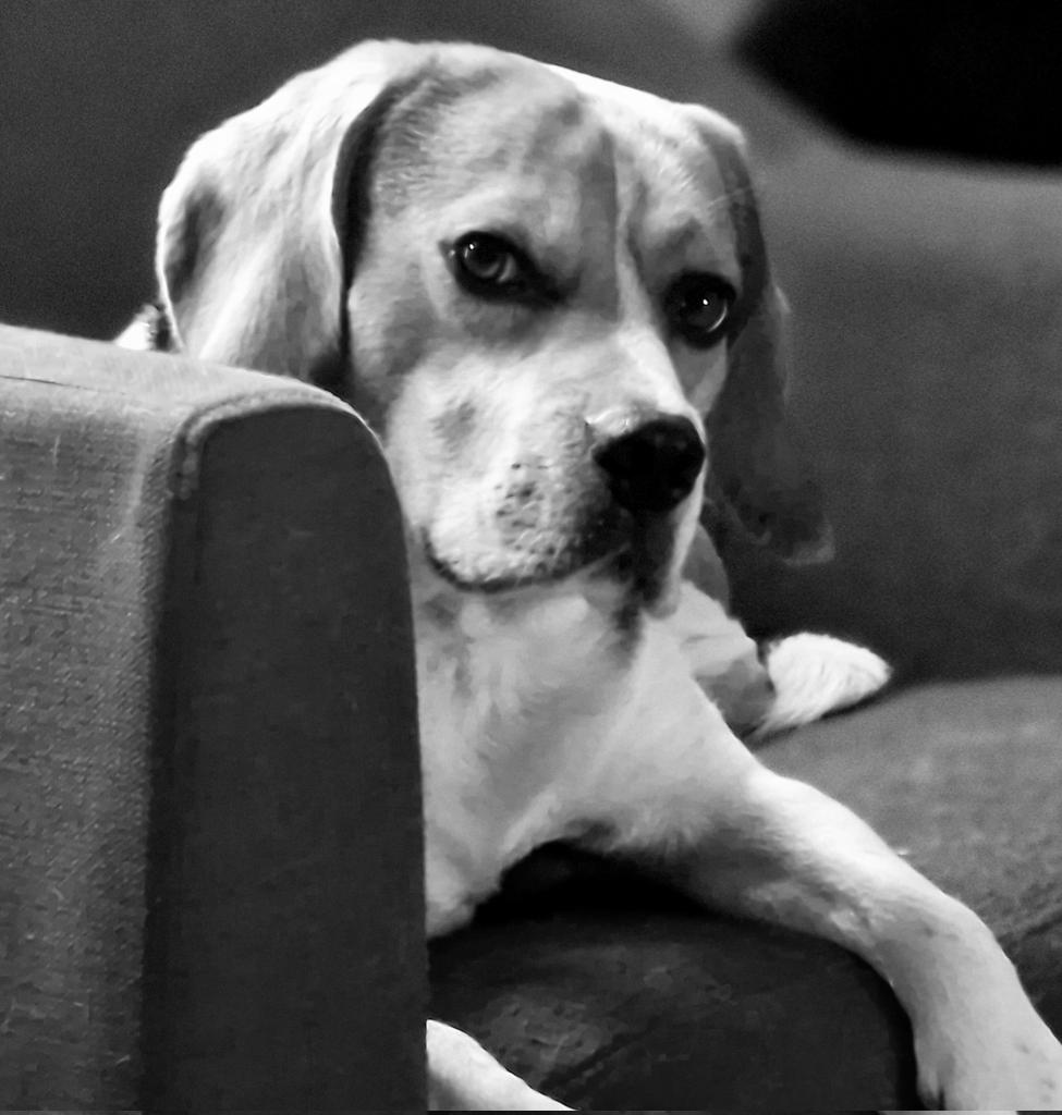 Ouais ouais, je te juge très fort