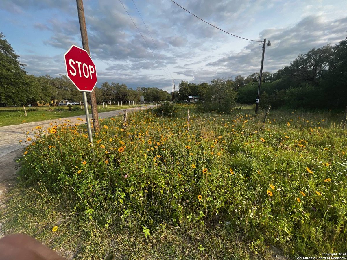 TheAnaBanda's tweet photo. NO RESTRICTIONS. Stunning mature oaks and easy access via paved roads. Perfect for your dream home, mobile home, or manufactured getaway. 
Peaceful country vibes + proximity to San Antonio = best of both worlds.

Take the first step: https://t.co/23ItZkTQUo https://t.co/DsTX8cR43j
