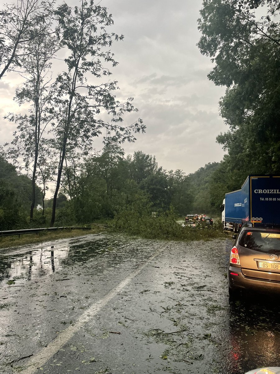 NicoNenil's tweet photo. Orage violent en #Correze, nombreux arbres au sol sur la #D1089 entre #Brive et #Tulle, circulation chaotique à l’approche de #Malemort #orage #alerte @lamontagne https://t.co/WnXSN0Cd0o