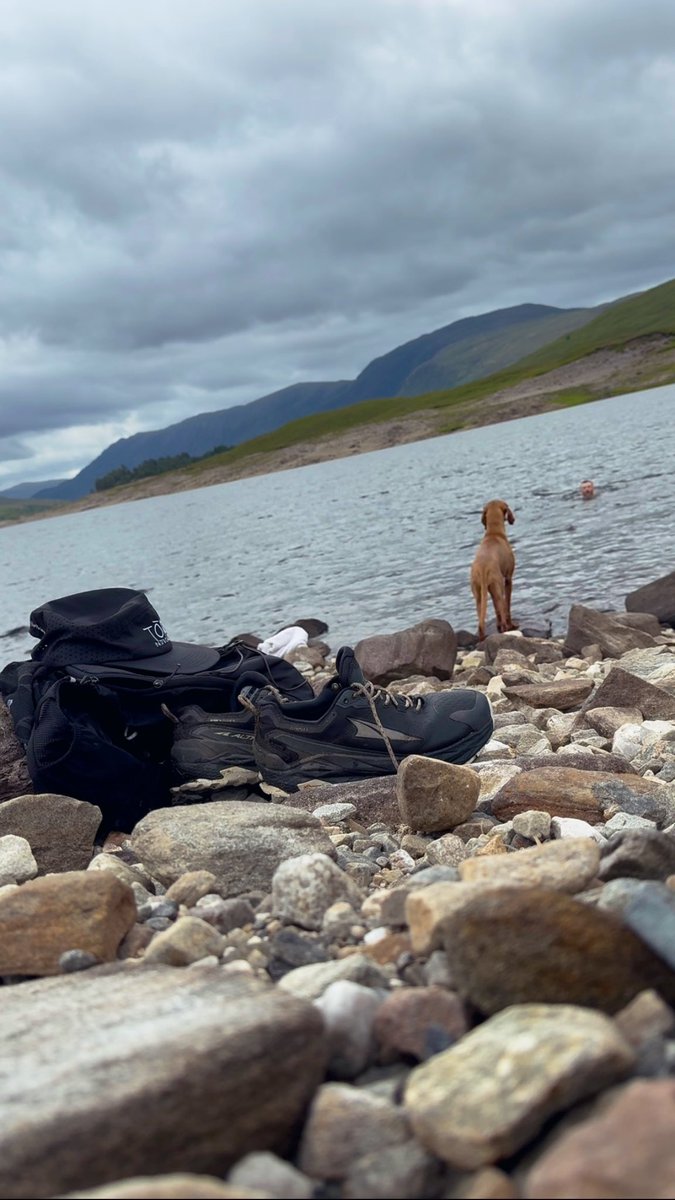 highlander tweet media