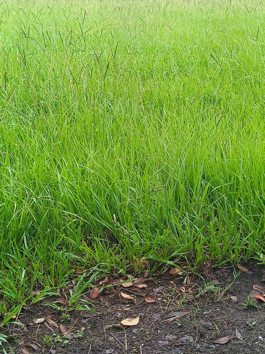 Jesus_htxjwjd's tweet image. Enjoy the life that you have