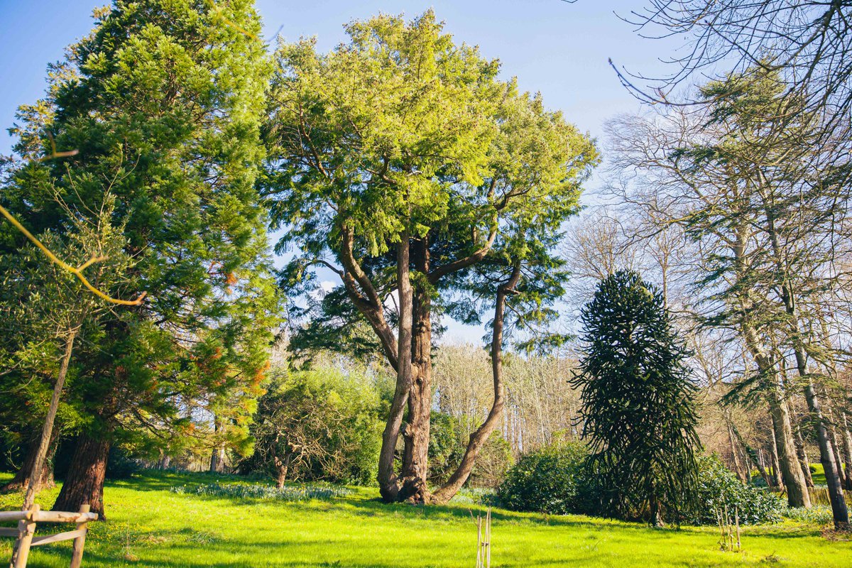 🌳 #ConseilCherbourg La Ville instaure une charte de l’arbre pour protéger son patrimoine arboré. Un outil destiné aux services municipaux, entreprises, aménageurs, citoyens pour encadrer les travaux, garantir le respect des arbres en ville et raisonner plantations et élagages.