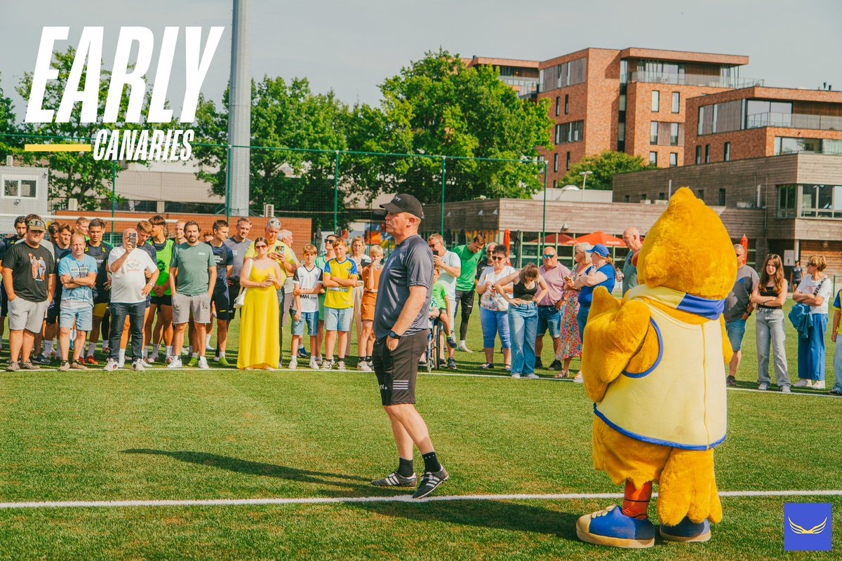 stvv's tweet image. 200 Early Canaries blinken in de zon tijdens de open training 🌞