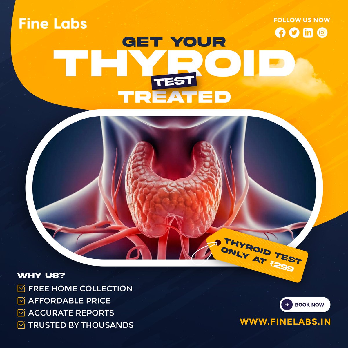 LabsFine12756's tweet image. 🦋 Feeling off lately? It might be your thyroid!
💉 Thyroid Test at just ₹299
🏠 Free Home Collection
📊 Accurate &amp;amp; Timely Reports

Book Now 👉 finelabs.in
Get Flat 20% off use Promocode FINELABS20

#ThyroidTest #FineLabs #StayHealthy #Diagnostics #Healthcare