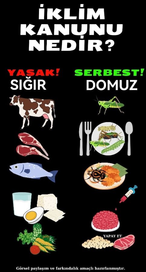iklim kanunu neden "oldu bitti" ye gertirilmeye çalışılıyor? Ak Parti içindeki satılmış vekillerin temizlenmesi gerekiyor.