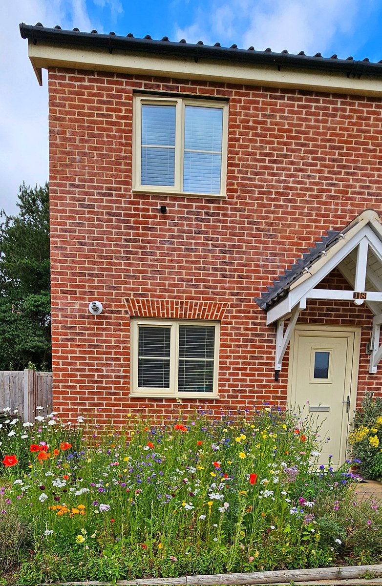 Alison Cavanagh tweet media