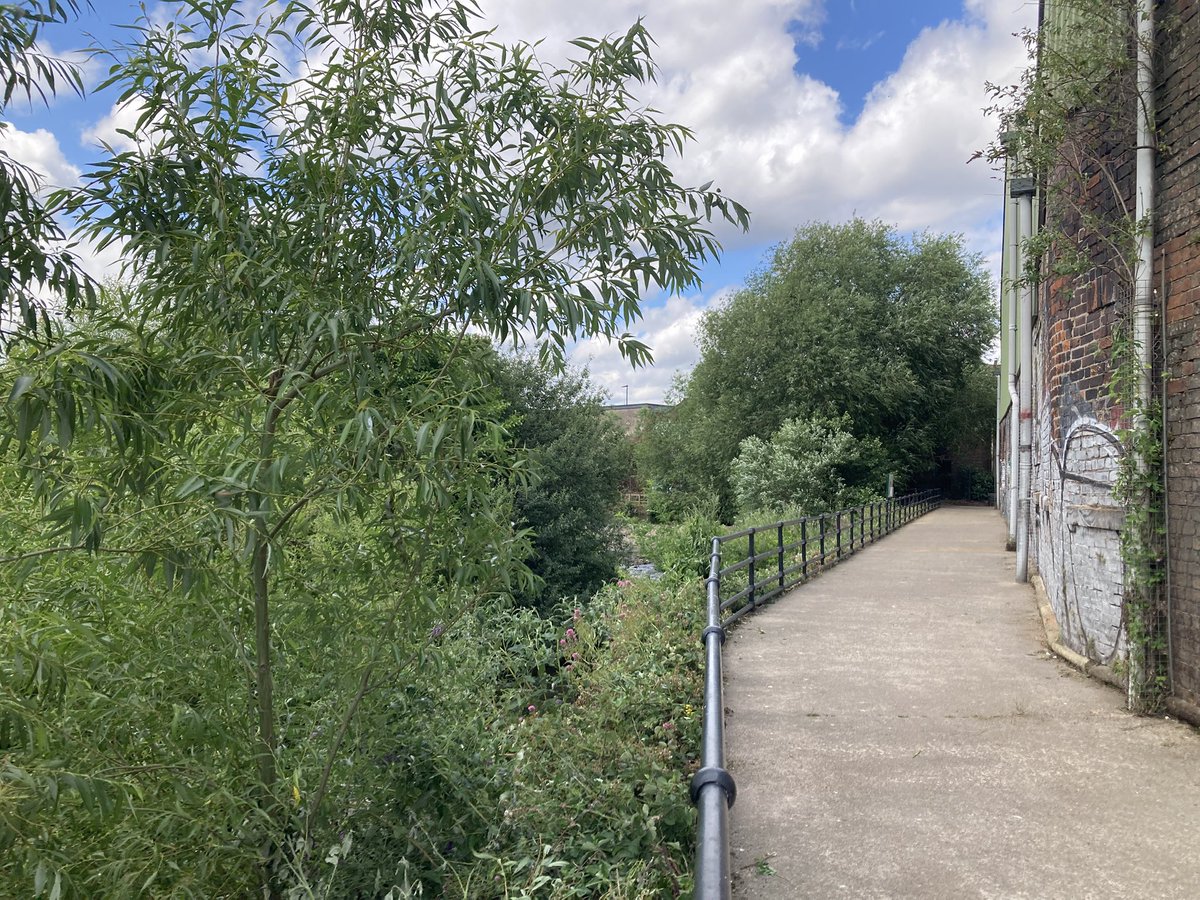 Blue loop (@theblueloop) on Twitter photo “Phew !” Another ‘scorchio’ <a href="/RiverStewards/">River Stewardship Co</a> session today at Warren St. - and another dollop of FotBL TLC delivered by our dedicated volunteers. Thank you, Loopers, great work.👍👏👏
<a href="/theoutdoorcity/">The Outdoor City</a> <a href="/TPT_National/">Trans Pennine Trail</a> <a href="/SustransNorth/">Sustrans North</a> <a href="/riverlution_rsc/">Riverlution by RSC</a> “Phew !” Another ‘scorchio’ <a href="/RiverStewards/">River Stewardship Co</a> session today at Warren St. - and another dollop of FotBL TLC delivered by our dedicated volunteers. Thank you, Loopers, great work.👍👏👏
<a href="/theoutdoorcity/">The Outdoor City</a> <a href="/TPT_National/">Trans Pennine Trail</a> <a href="/SustransNorth/">Sustrans North</a> <a href="/riverlution_rsc/">Riverlution by RSC</a>