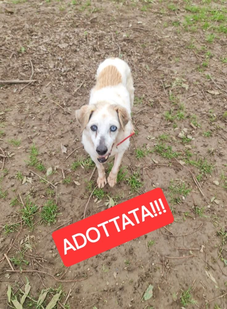 Nonna Pina adottata🥰🥰🥰🎉🎉🎉🎉🎉🎉🎉🎉🎉🎉🎉