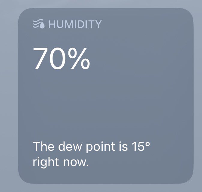 Holly - I like tech tweet media