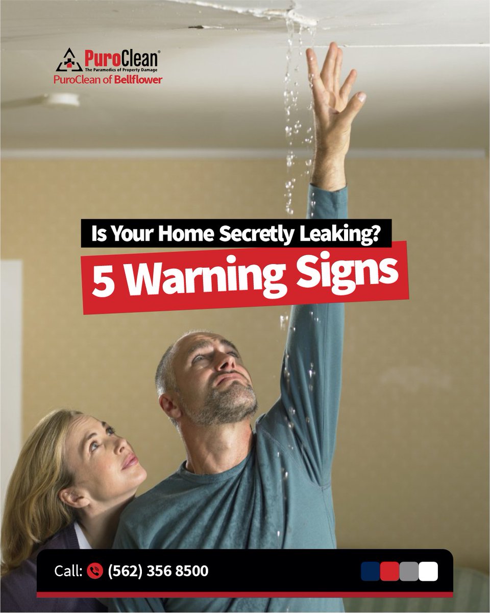 OfBellflower's tweet photo. Think your home is perfectly dry? 🤔 It might be hiding a leak! These subtle signs could mean water damage is silently spreading behind the scenes.

📌 Save this post and check your home today!

#WaterDamageSigns #HiddenLeaks #Bellflower #PropertyRestoration #MoldWarning #Leak https://t.co/6sVmKQmGMr