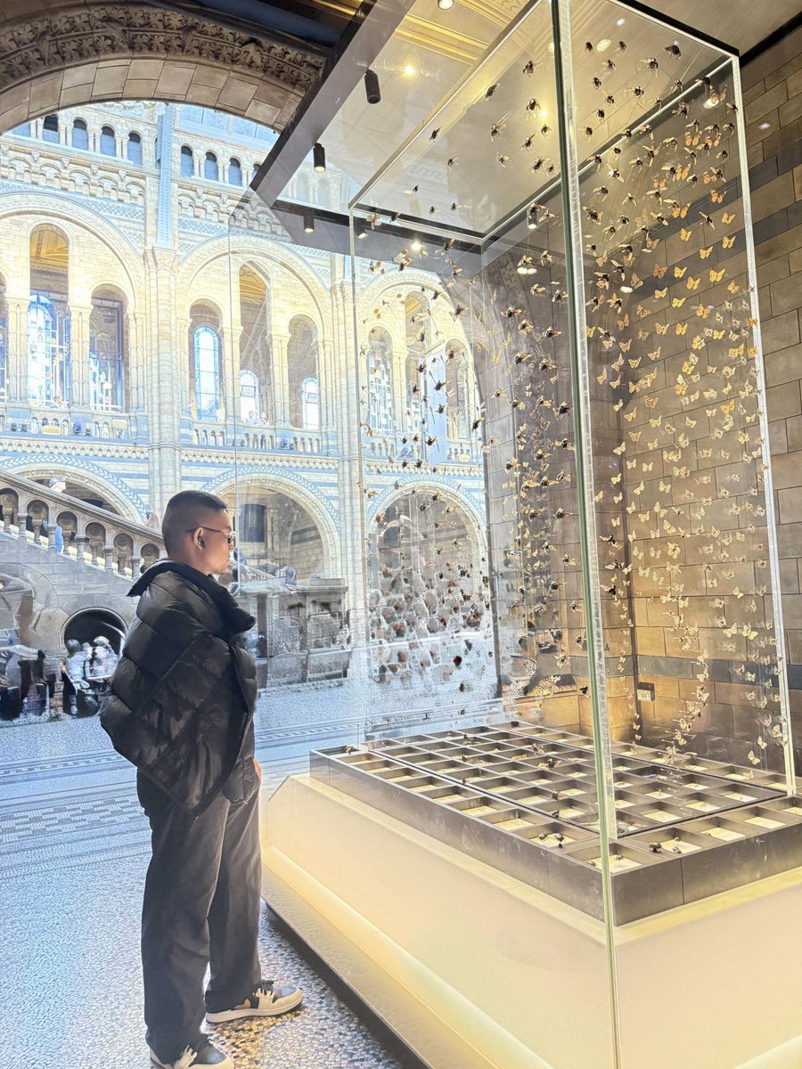 itsnotjom's tweet photo. @NHM_London https://t.co/kTd4e0FeuT