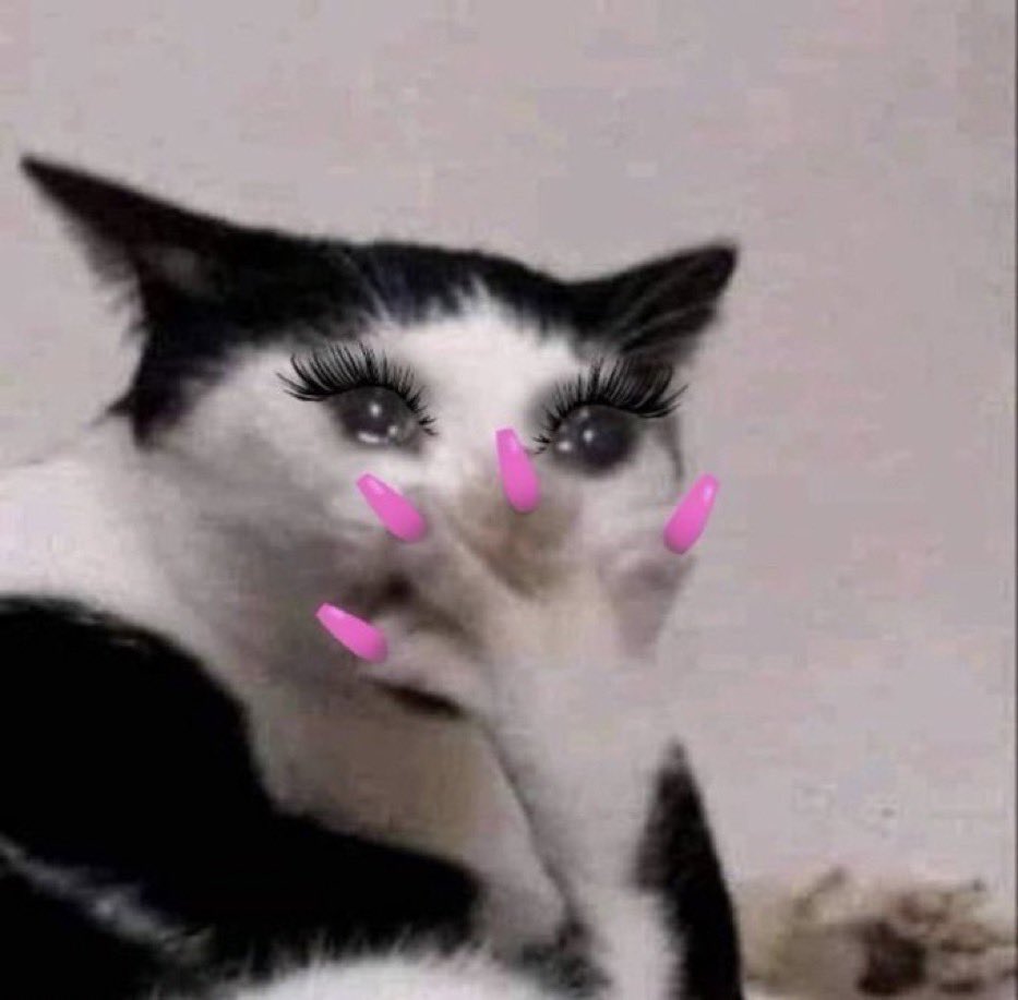 🦋 u y u 🦋 tweet media