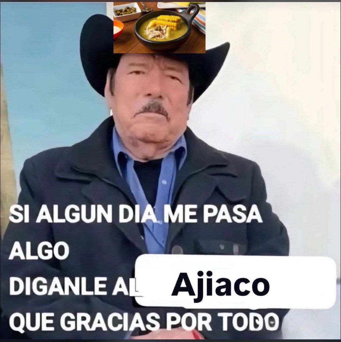 alluchita's tweet image. 