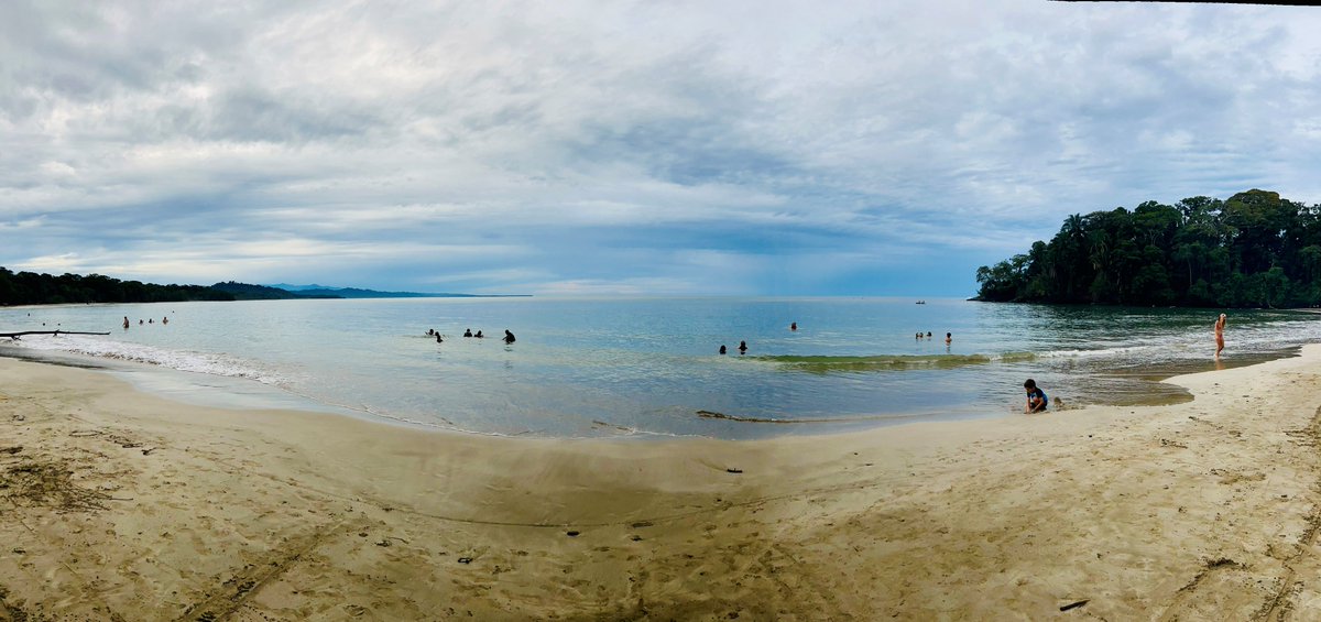 TatianaVoytsenk's tweet photo. #WaterWednesday #PuntaUva #CostaRica https://t.co/XmuDZ1bFkJ