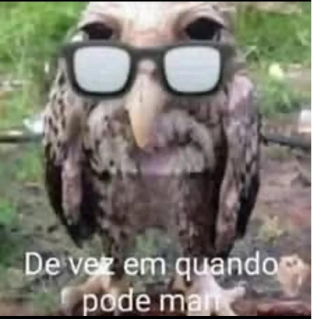 Esse perfil de DBGT tem meu respeito 

Além dos ótimos posts, sempre embasa suas críticas sem perder a objetividade. Entra em mil discussões, mas se mantém educado até o fim e não força a fim de implicar com o Super

Btw, uma pena não haver um perfil do Super nessa vibe

brvtal