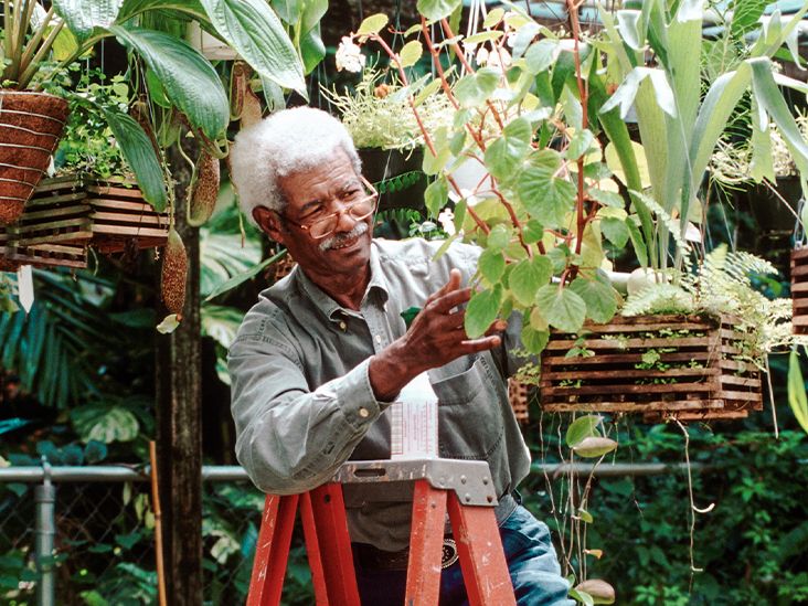 NiNanHealing's tweet photo. Cancer Prevention: Gardening Can Lower Risk, Boost Mental Health https://t.co/GazGJ6ahQP https://t.co/FS6dVYeiHc