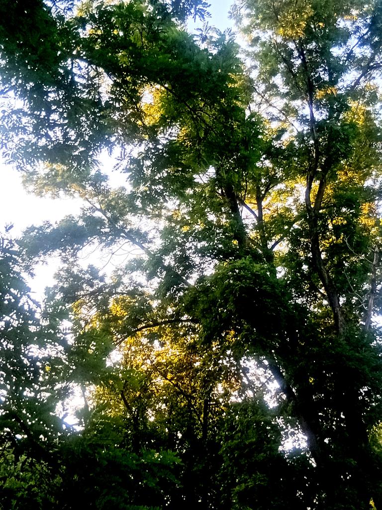 Катерина Галич tweet media