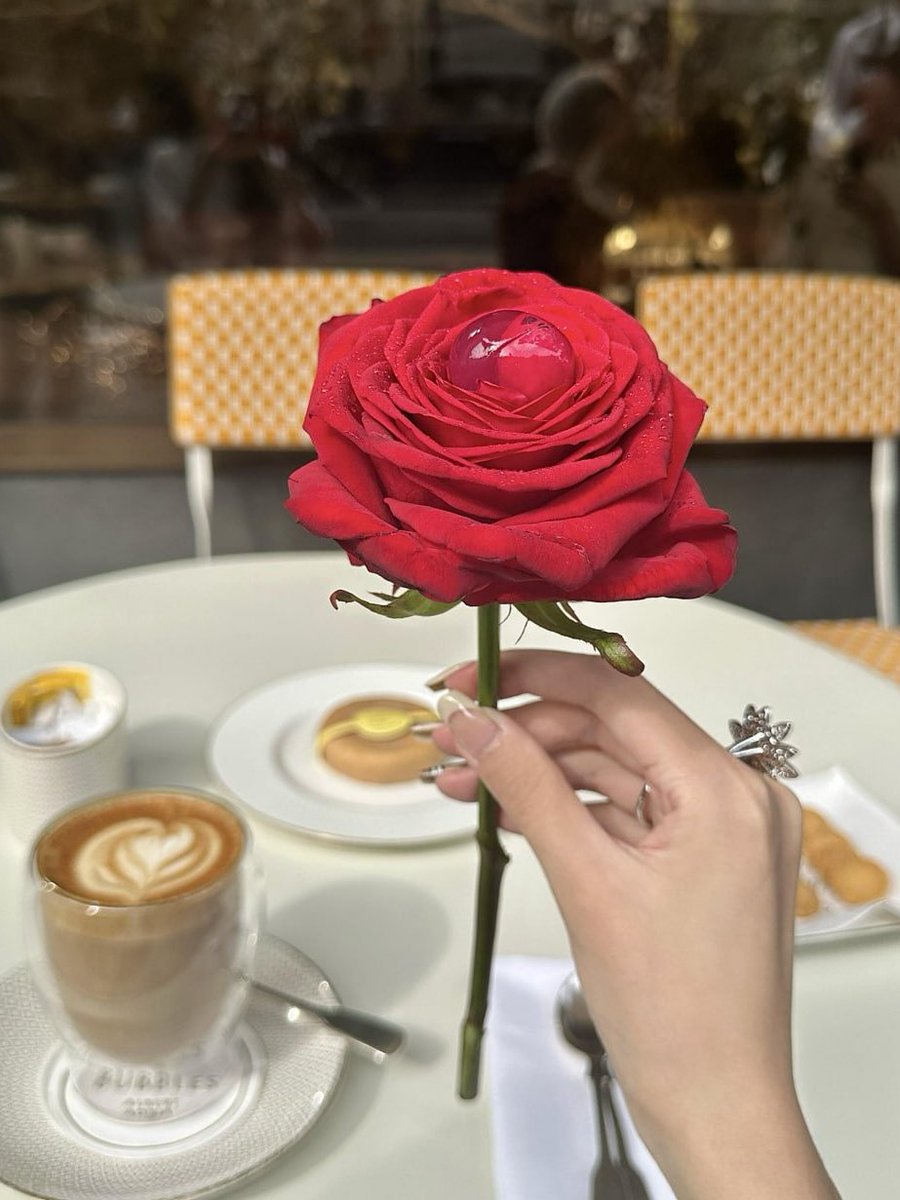 Just received a beautiful rose from my buddy! 🌹🥰✨ Feeling so loved and grateful 💖😊🌸 A simple gesture that brightened my day 🌞💫🌷 Friendship in full bloom 🌼🤗💐