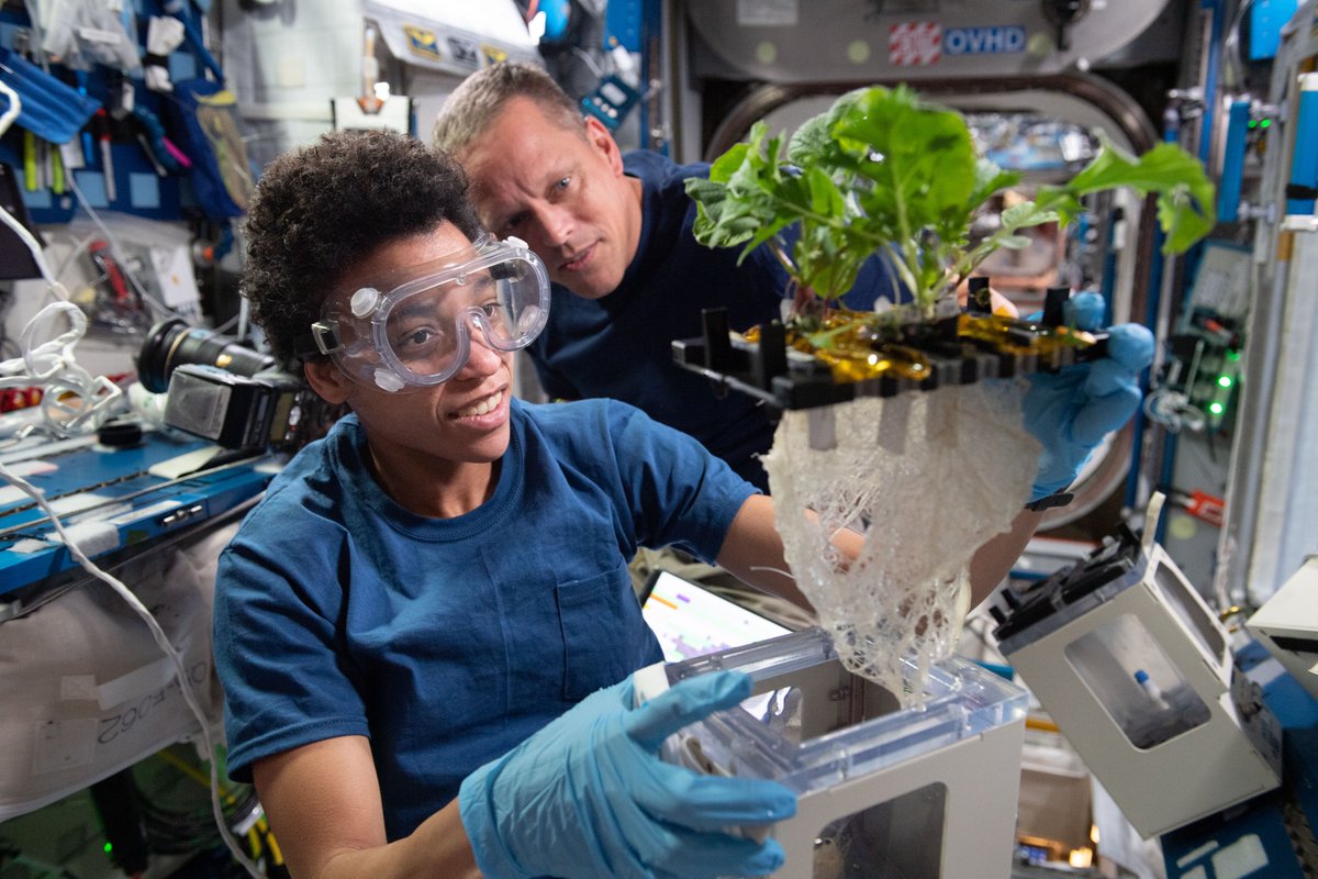 Why do we grow plants in space? 🧑‍🌾

Space-grown veggies &amp; fruits not only provide nutrition, but also give crew far from Earth a little slice of home. Learn how <a href="/NASA/">NASA</a> is cultivating space gardening as a tool to support future long-duration missions: go.nasa.gov/44y8uG0