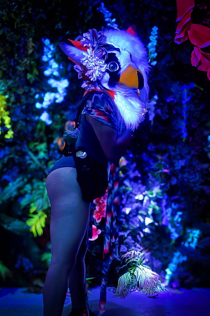 A wild vulture in her natural habitat. Be careful! She bites~ ❤️