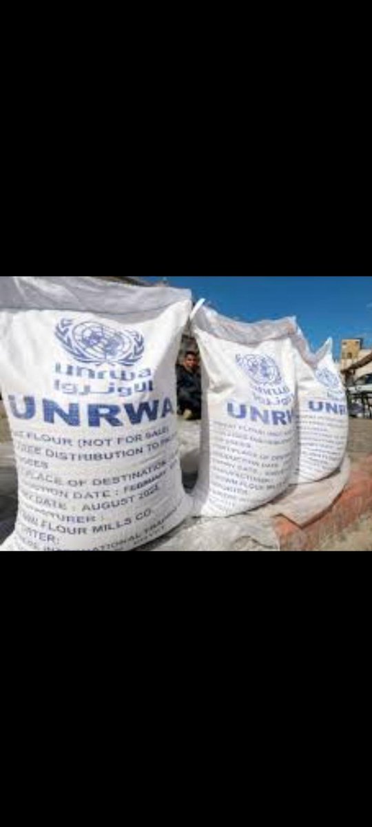 This 25-kilogram bag of flour is enough for my family for two weeks. Its price today is $500. I don't even have the money for a single kilo. Please help me overcome this ordeal and treat my children with compassion and humanity. We are in dire need of your support and depend