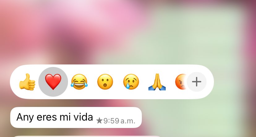 Muy buenos, hermosos, maravillosos, preciosos, increíbles días. 🙋🏻‍♀️