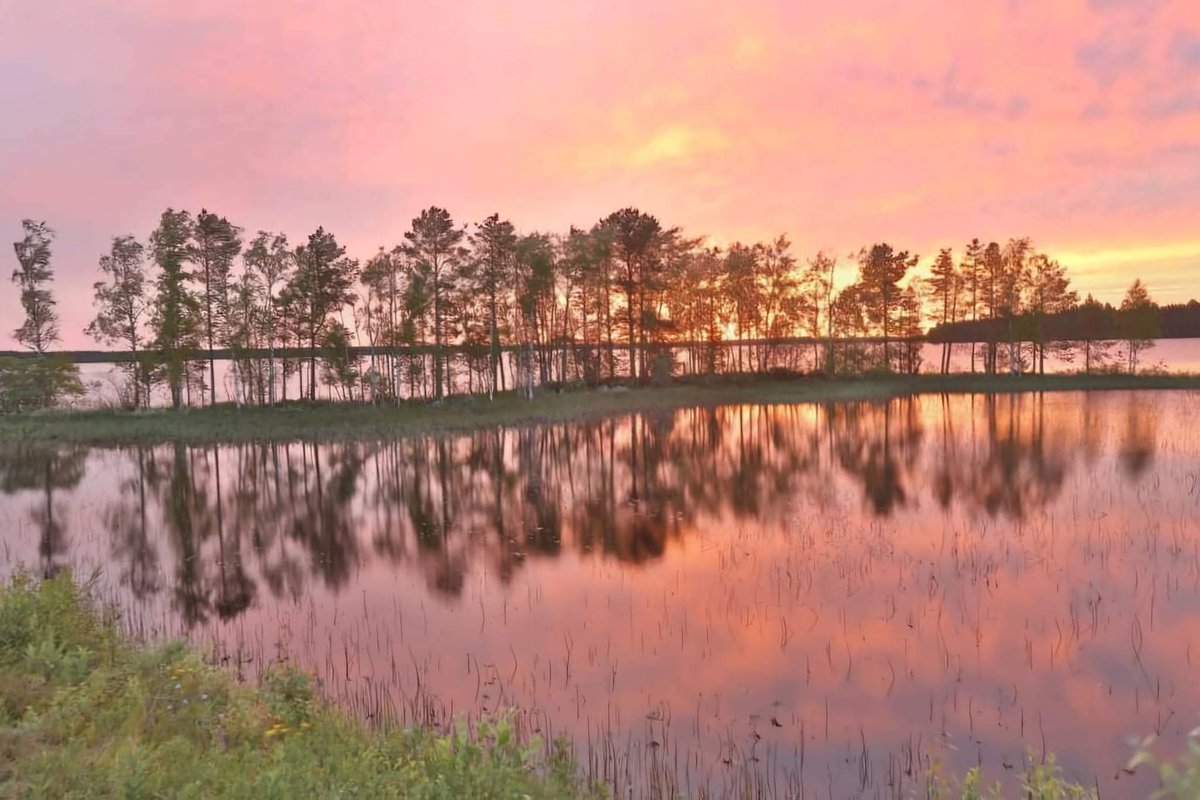 Hyvää illanjatkoa ja yötä. Kuva 25.6.2024 Otermanjärvi Vaala. 
Have a fine evening and good night.