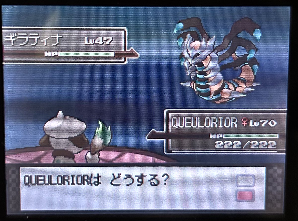 Giratina shiny ce soir en 1552 resets ! ✨
Même sur DS tank il flashe
Bien contente de terminer une nouvelle shasse rapidement
